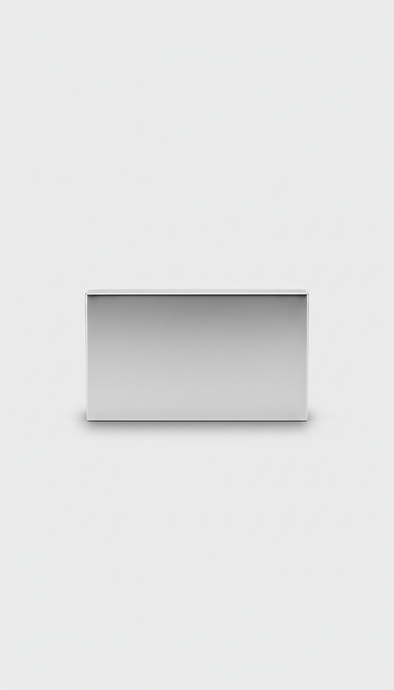 Solid Silver Evening Clutch