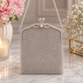 Silver Mesh Bag – Butterfly Clasp & Chain Strap